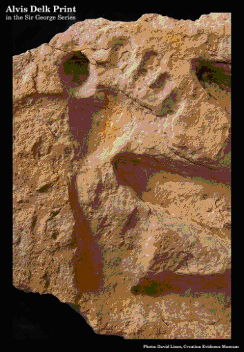 Alvis Delk Cretecous Footprint