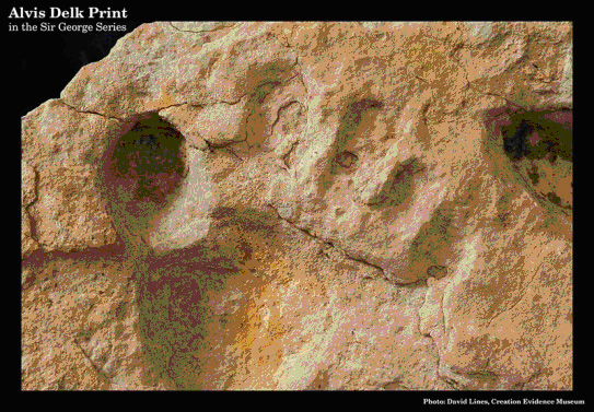 Alvis Delk Cretecous Footprint