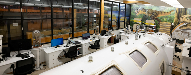 Hyperbaric Biosphere