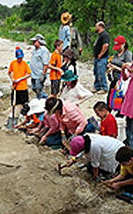 Dinosaur Excavations