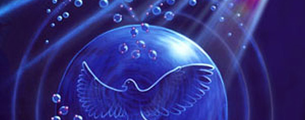 Creation Model Session 2 