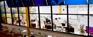 New Museum Attraction