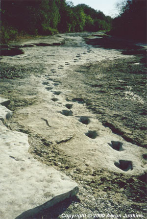 Photo by Aaron Judkins-Turnage-Patton Trail