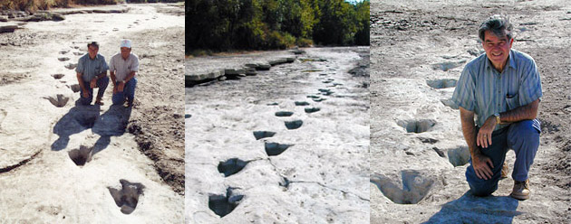 Turnage Patton Trail