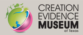 Creation Evidence Museum Logo